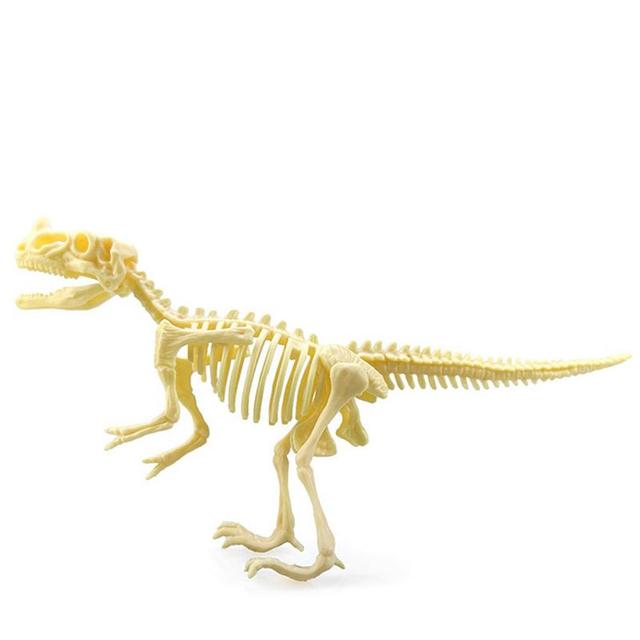 Dinosaurus Skelet - 3D Puzzel - Ceratosaurus bij dedino.nl