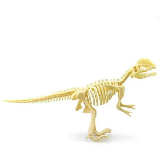 Dinosaurus Skelet - 3D Puzzel - Dilophosaurus bij dedino.nl