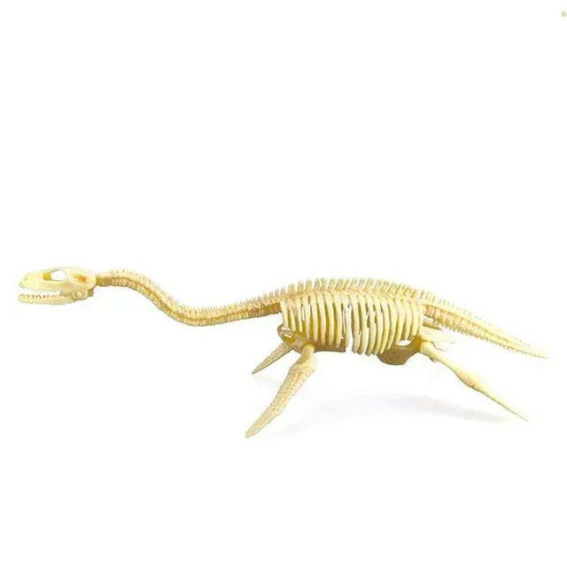 Dinosaurus Skelet - 3D Puzzel - Plesiosaur bij dedino.nl