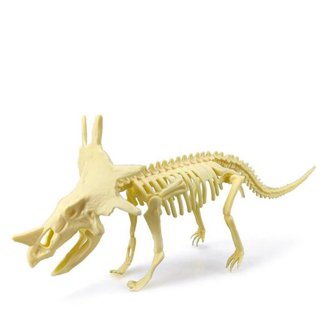 Dinosaurus Skelet - 3D Puzzel - Styracosaurus bij dedino.nl