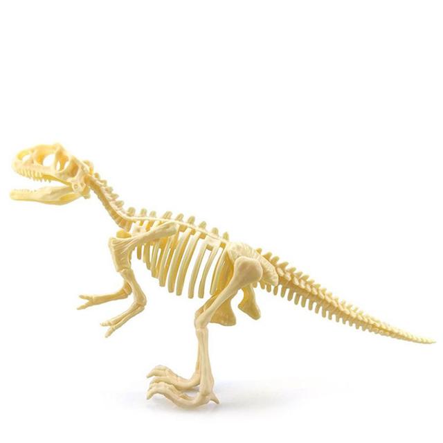 Dinosaurus Skelet - 3D Puzzel - Tyrannosaurus Rex bij dedino.nl