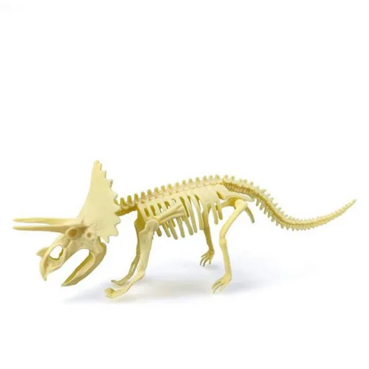 Dinosaurus Skelet - 3D Puzzel - Triceratops bij dedino.nl