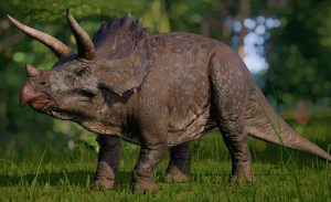 De Triceratops is een van de bekendste en meest geliefde dinosaurussen die ooit heeft geleefd en leefde ongeveer 68-66 miljoen jaar geleden.
