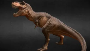 Met zijn enorme omvang, krachtige kaken en scherpe tanden, was de T-Rex een indrukwekkend roofdier dat zich gemakkelijk bovenaan de voedselketen plaatste. In deze tekst zal ik meer vertellen over de kenmerken en levensstijl van deze fascinerende dinosaurus.