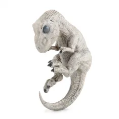 Baby Dinosaurus Embryo Model - T-rex bij dedino.nl