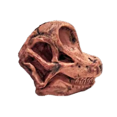Dinosaurus Mini Schedel Model - 5 cm - Brachiosaurus