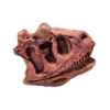 Dinosaurus Mini Schedel Model - 5 cm - Carnotaurus