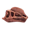 Dinosaurus Mini Schedel Model - 5 cm - Dilophosaurus