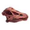 Dinosaurus Mini Schedel Model - 5 cm - Diplodocus