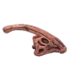 Dinosaurus Mini Schedel Model - 5 cm - Parasaurolophus