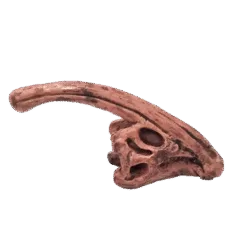 Dinosaurus Mini Schedel Model - 5 cm - Parasaurolophus