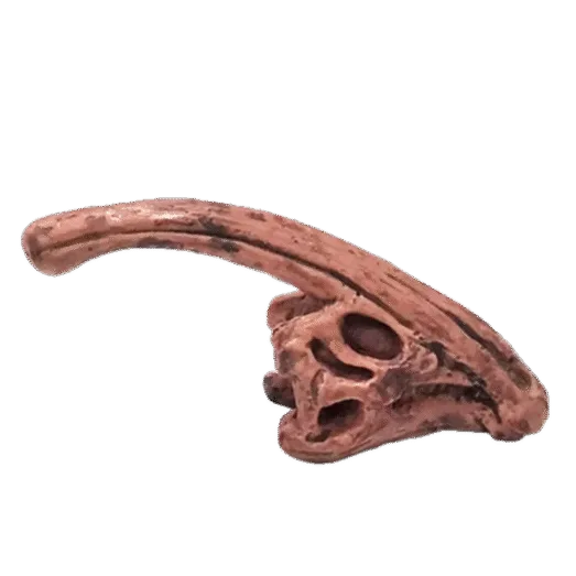 Dinosaurus Mini Schedel Model - 5 cm - Parasaurolophus