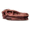 Dinosaurus Mini Schedel Model - 5 cm - Suchomimus