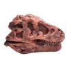 Dinosaurus Mini Schedel Model - 5 cm - T-rex