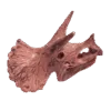 Dinosaurus Mini Schedel Model - 5 cm - Triceratops