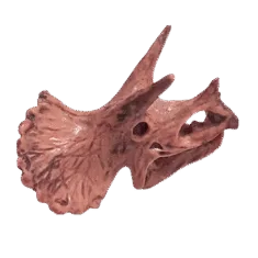 Dinosaurus Mini Schedel Model - 5 cm - Triceratops