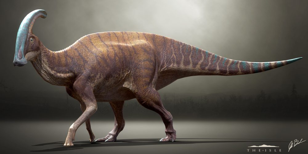 De dinosaurus Parasaurolophus