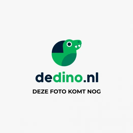 Nog geen productfoto beschikbaar